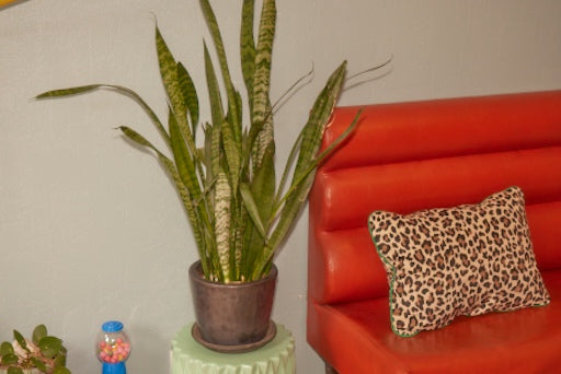 COUSSIN MULEMA VERT EMERAUDE